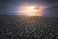 To find order in choas