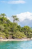 Île tropicale de Paraty Brésil