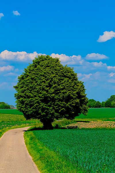 Stammen par Erik Creugers