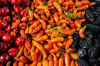 Paprika und blauer Mais