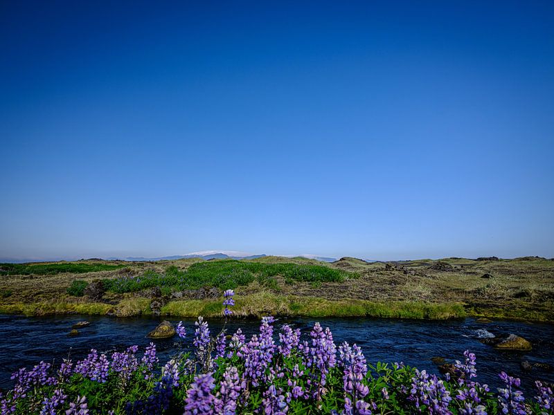 Along Þjóðvegur 1, Islande par Eddy Westdijk
