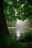 Kroondomein het Loo in de mist