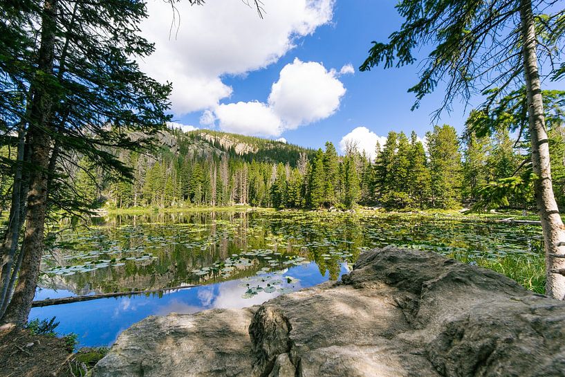 Magical lake in the mountains by Louise Poortvliet