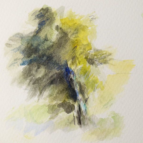 Dugout picture by JohannPeterWeiss