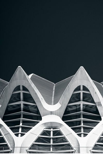 Calatrava shapes van Martijn Kort