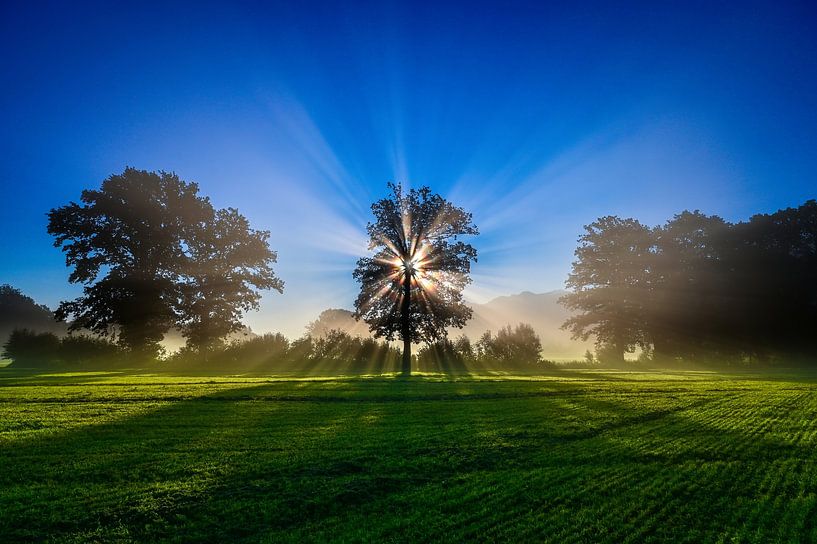 Ambiance matinale par artpictures.de