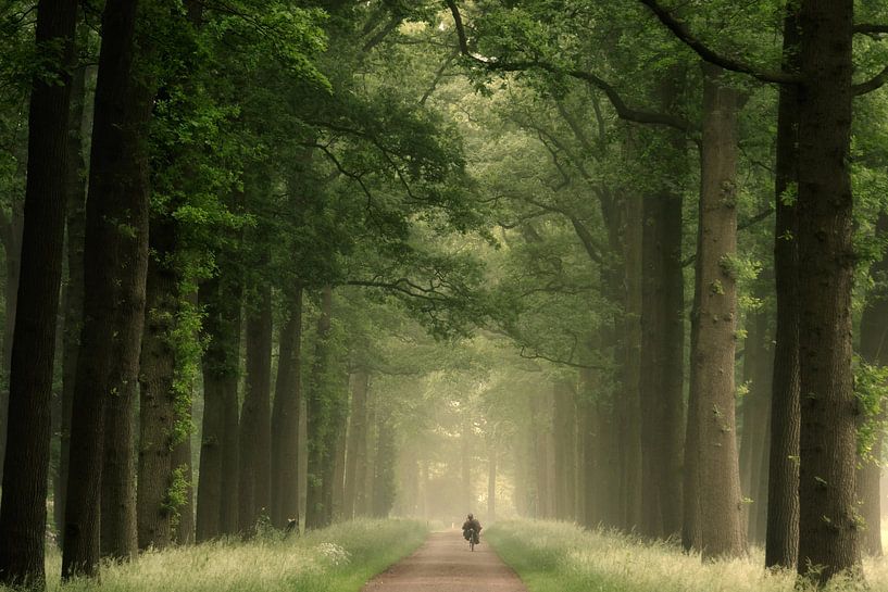 Gelassenheit. von Inge Bovens