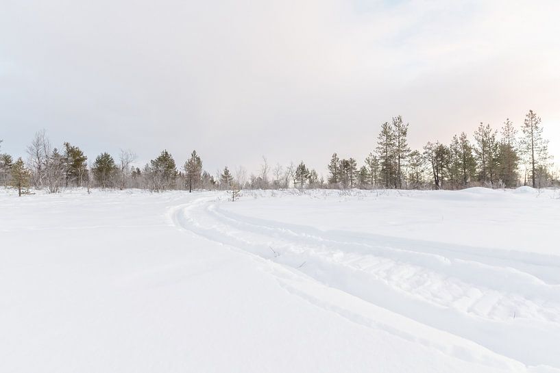 Track Finder von DsDuppenPhotography