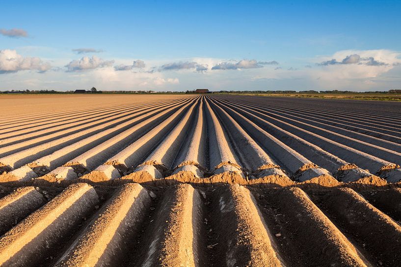 Niederländisches Ackerland / Ackerland von Ton Drijfhamer