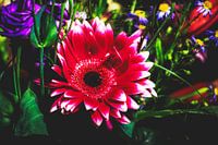 Style my Home series by Liberty Ragazza Biesma