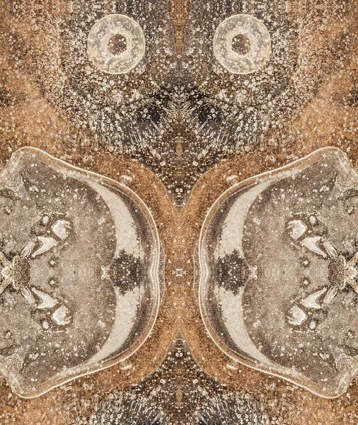 Primitive Eule (Eisstruktur) von Karla Leeftink