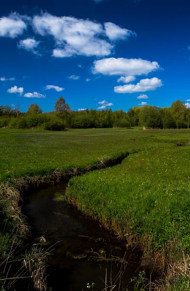 Bavelse lei gespiegeld in de wolken, Wolfslaar, Breda, Noord-Brabant, Holland, Nederland Afbeelding  by Ad Huijben