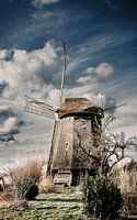 Wind Mill