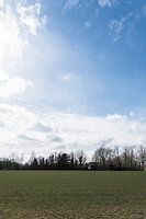 Meadow with Dutch Light