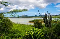 Nature Park in Bonaire