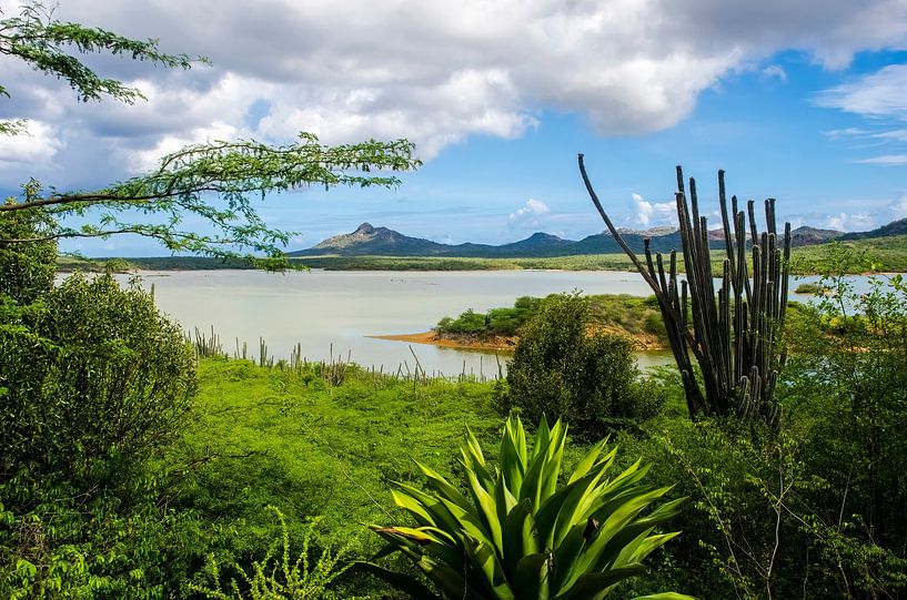 Nature Park in Bonaire by Joke Van Eeghem