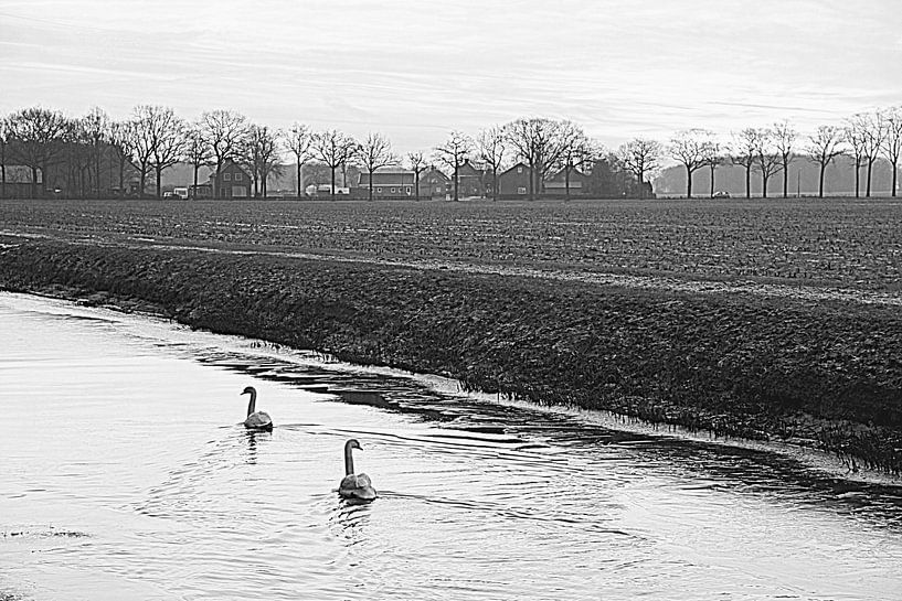 Classic Dutch by Silvia van Zutphen