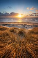 Sunset at the beach of Castricum