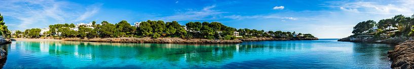 Panoramablick auf die Küste von Cala D'or von Alex Winter