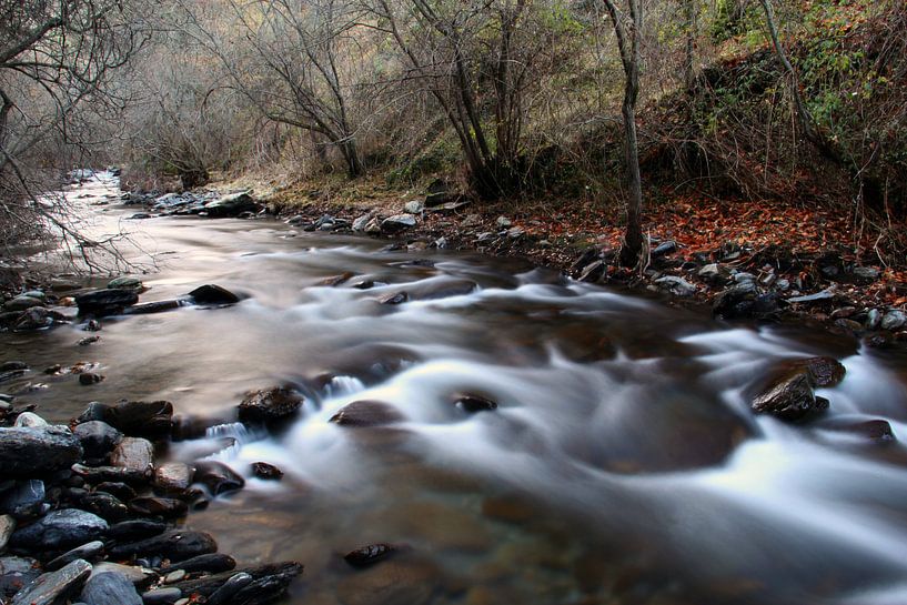 Der Herbstfluss von Cornelis (Cees) Cornelissen