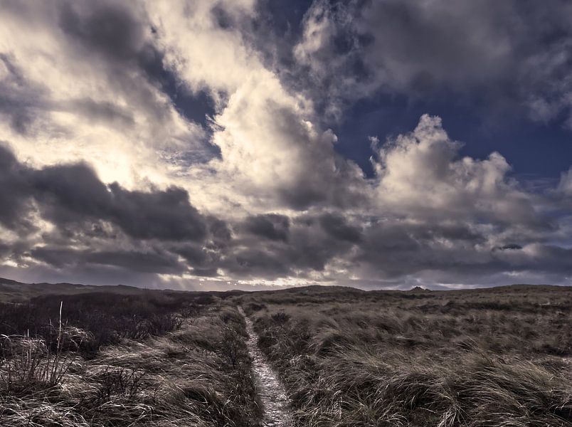 Texel-Dünen von Pictures by Van Haestregt