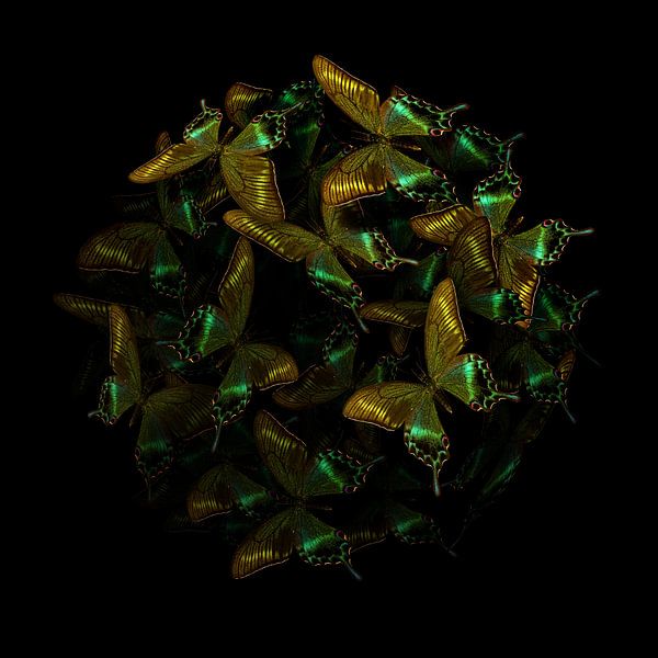 Morphogenetisch: Grün I von Morphogenic