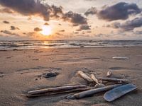 Muscheln im Sand am Strand von Sankt Peter-Ording