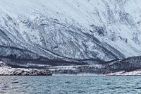 Charme norvégien - Maison rouge confortable en Norvège