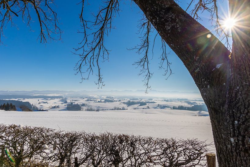Siggener Höhe von W.Schriebl PixelArts