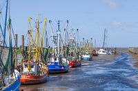 Port de cotre, Dorumer Neufeld