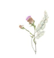 Kunsttrocknende Blume.