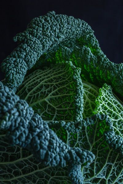 Still life with savoy cabbage l Food Photography by Lizzy Komen