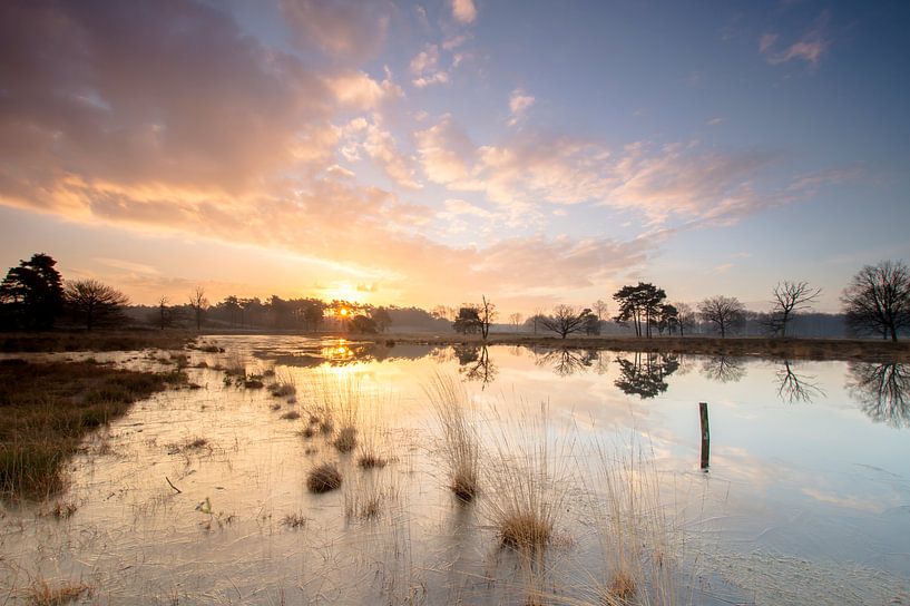 Zonsopkomst bij Gelderse vennen by Jan Koppelaar Fotografie