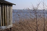 Vogelkijkhut de Leijen