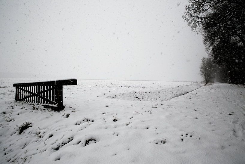 Landgoed Ennemaborgh par Jan Sportel Photography