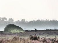 Ein Fallschirm aus dem Nebel