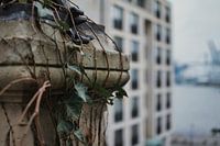 La nature et le port.