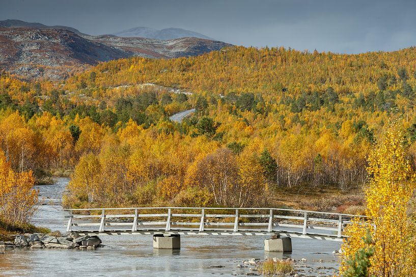 Herbst in Norwegen von Menno Schaefer