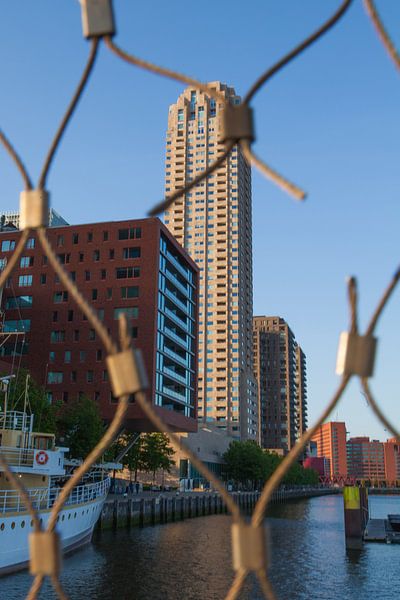 Wilhelminapier von Rob Altena