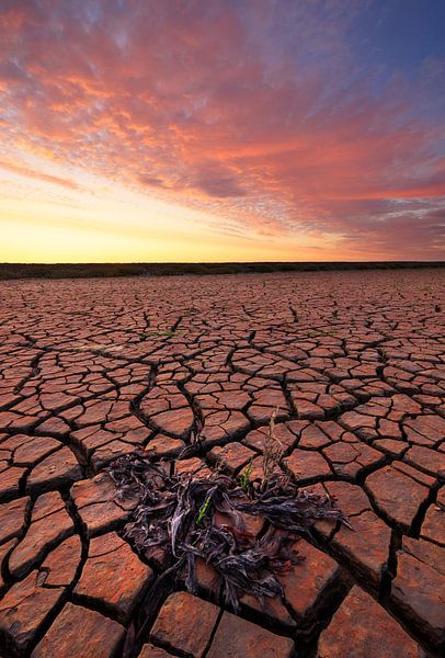 Sonnenuntergang über dem Wattenmeer bei Ebbe von Bas Meelker