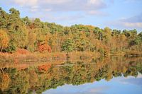 bomen in Herfstkleuren aan het water