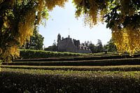 Scottish Castle Garden