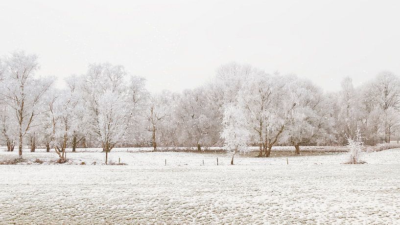 La neige sur les champs par Truus Nijland