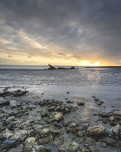 Sunset Shipwreck Zeeland by Sonny Vermeer