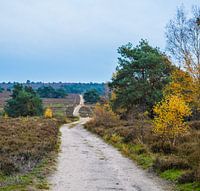 Endlose Straße durch die Heide.