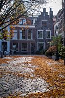 Herfst in Holland