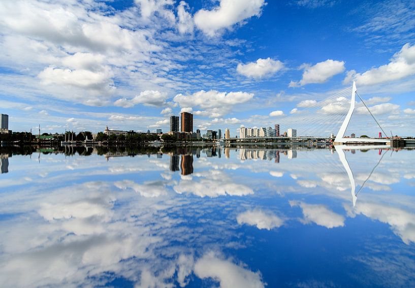 Rotterdam Erasmus par Lisa Antoinette Photography