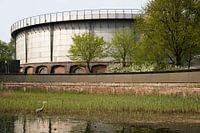 Reiher von Amsterdam im Park