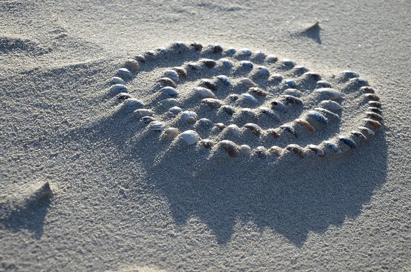 Licht en schaduw par Corinna Vollertsen