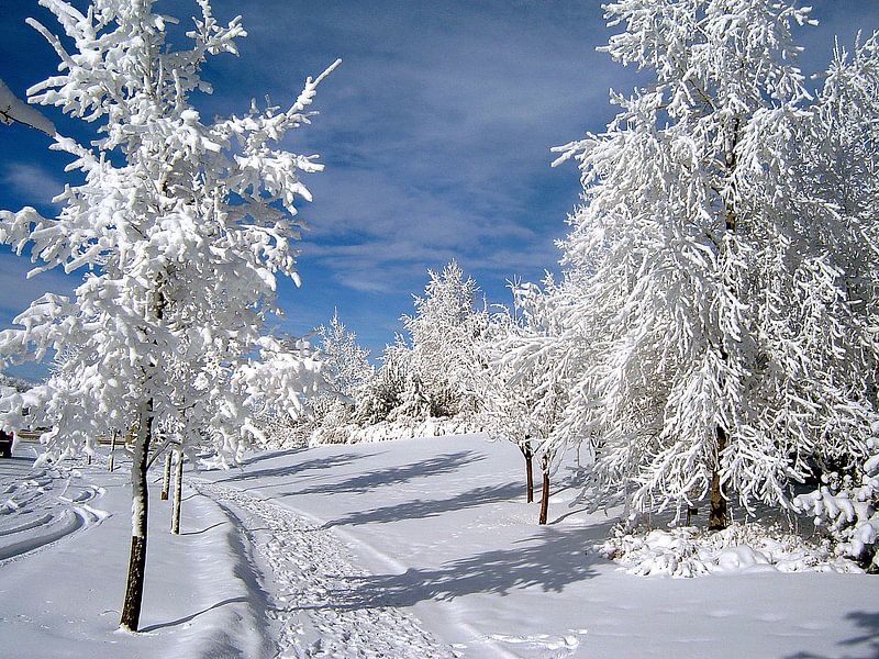 RIJP/FROST von Roelof Touw